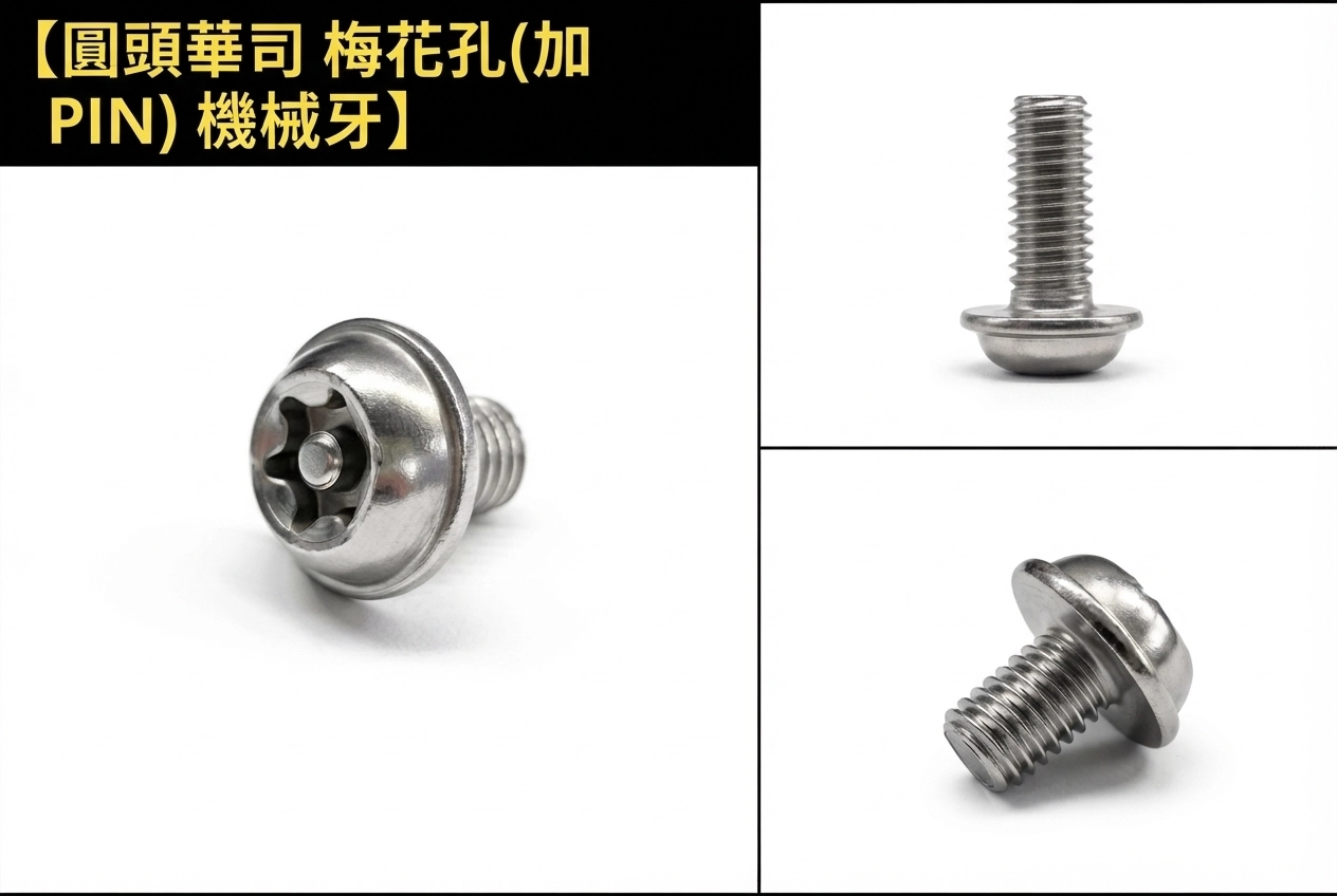 Stainless Steel Screws
